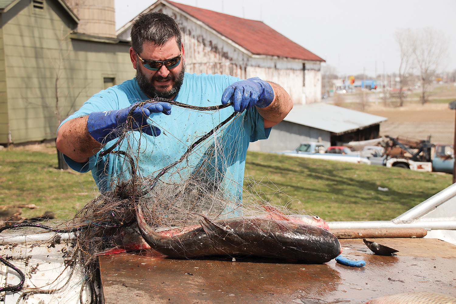 Invasive Carp Continue Spread In Upper Mississippi Basin - The Waterways  Journal