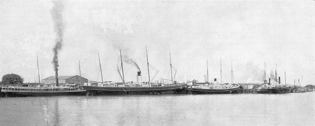 Morgan Line steamships at the Algiers landing prior to 1895.