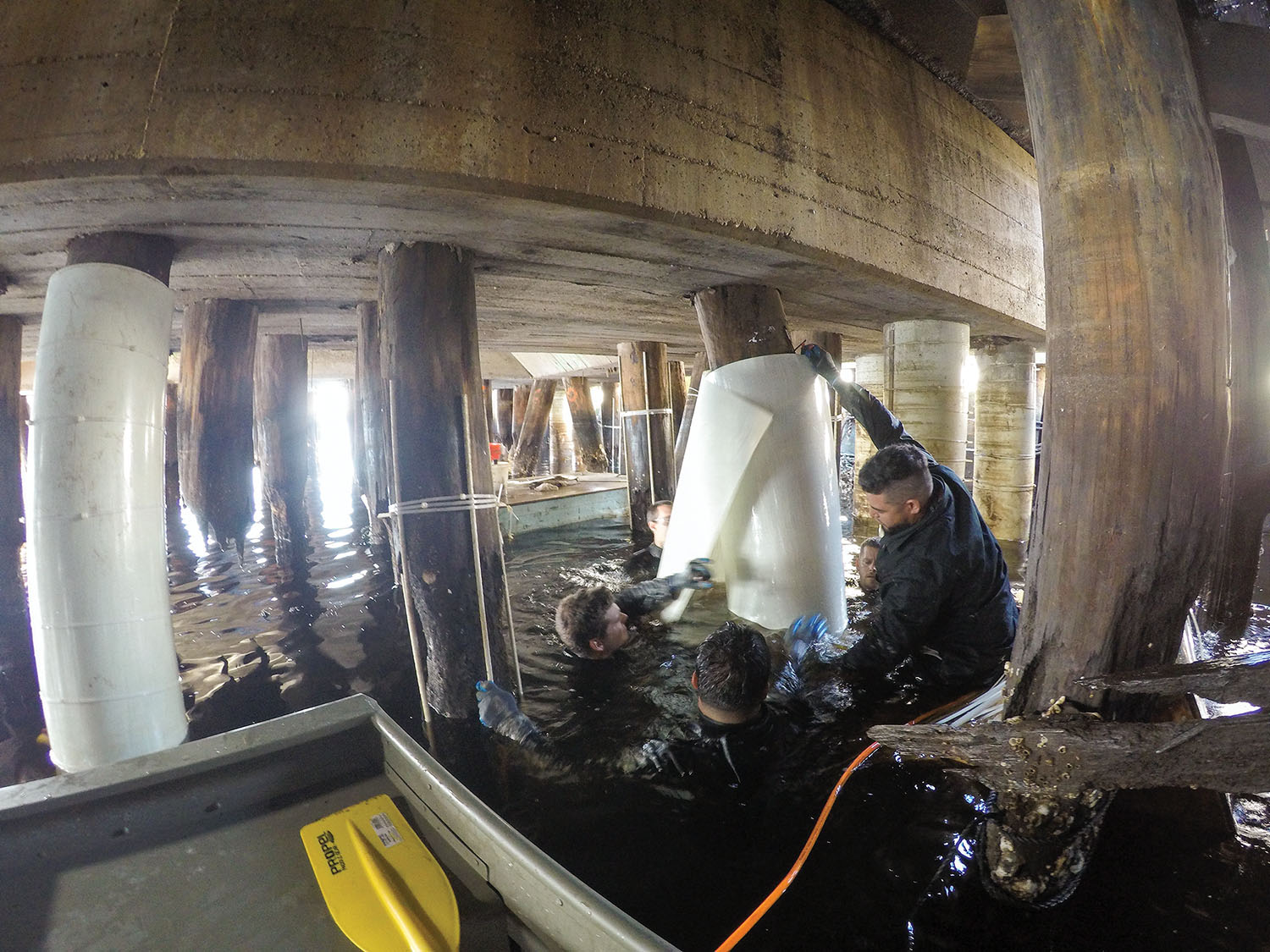 Under pier with crew from FRP Construction installing PileMedic by QuakeWrap to rapidly repair damaged timber piles at an industrial pier in Virginia. (Photo courtesy of FRP Construction/Pilemedic by QuakeWrap)