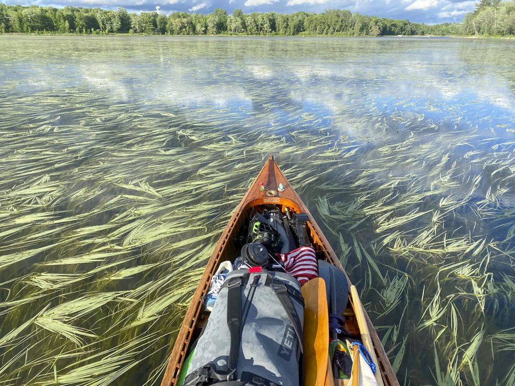 Paddling through the marsh-like waters of the Upper Mississippi River. (Photo courtesy of Joey Cargol)