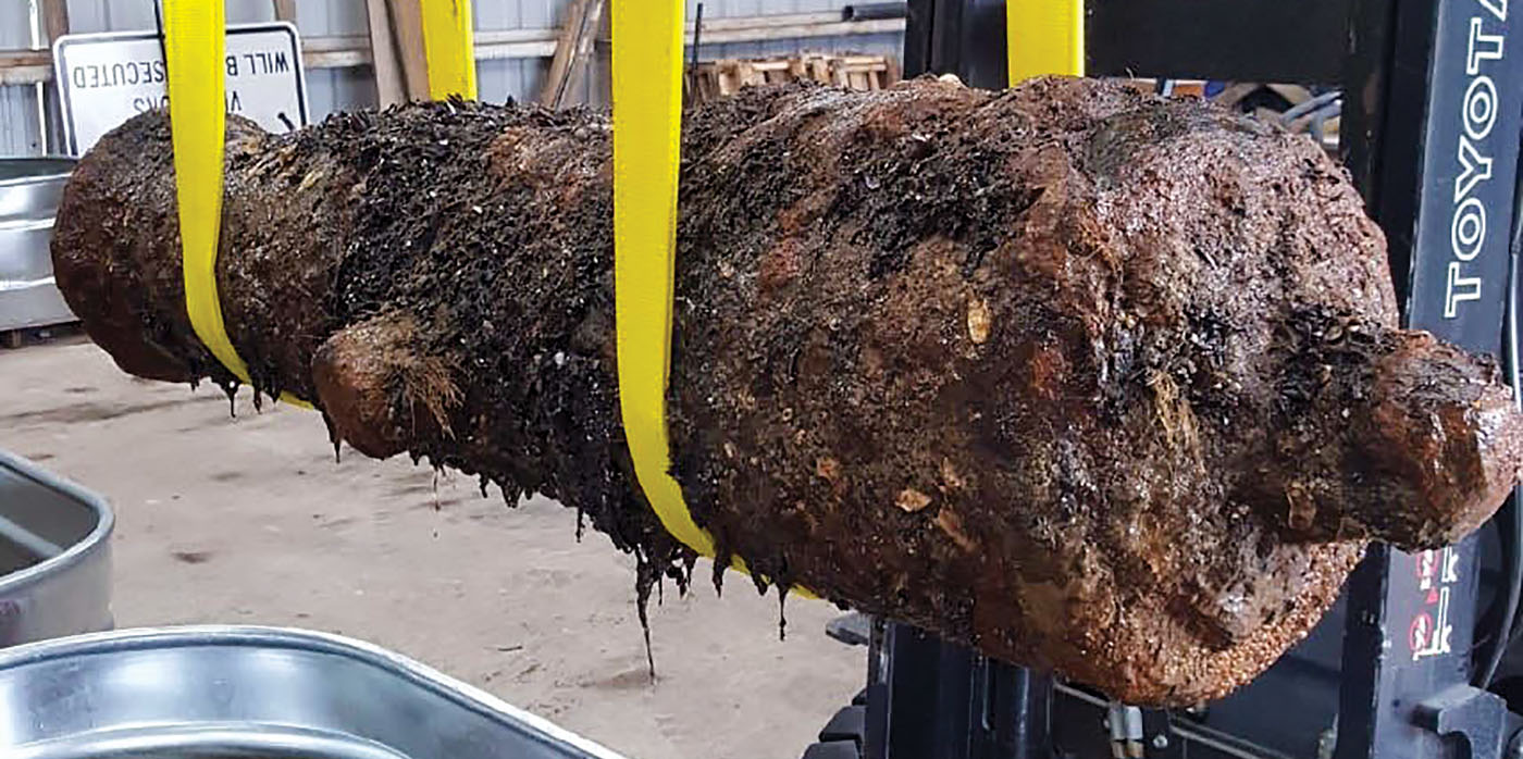 Savannah Harbor dredge unearths cannon