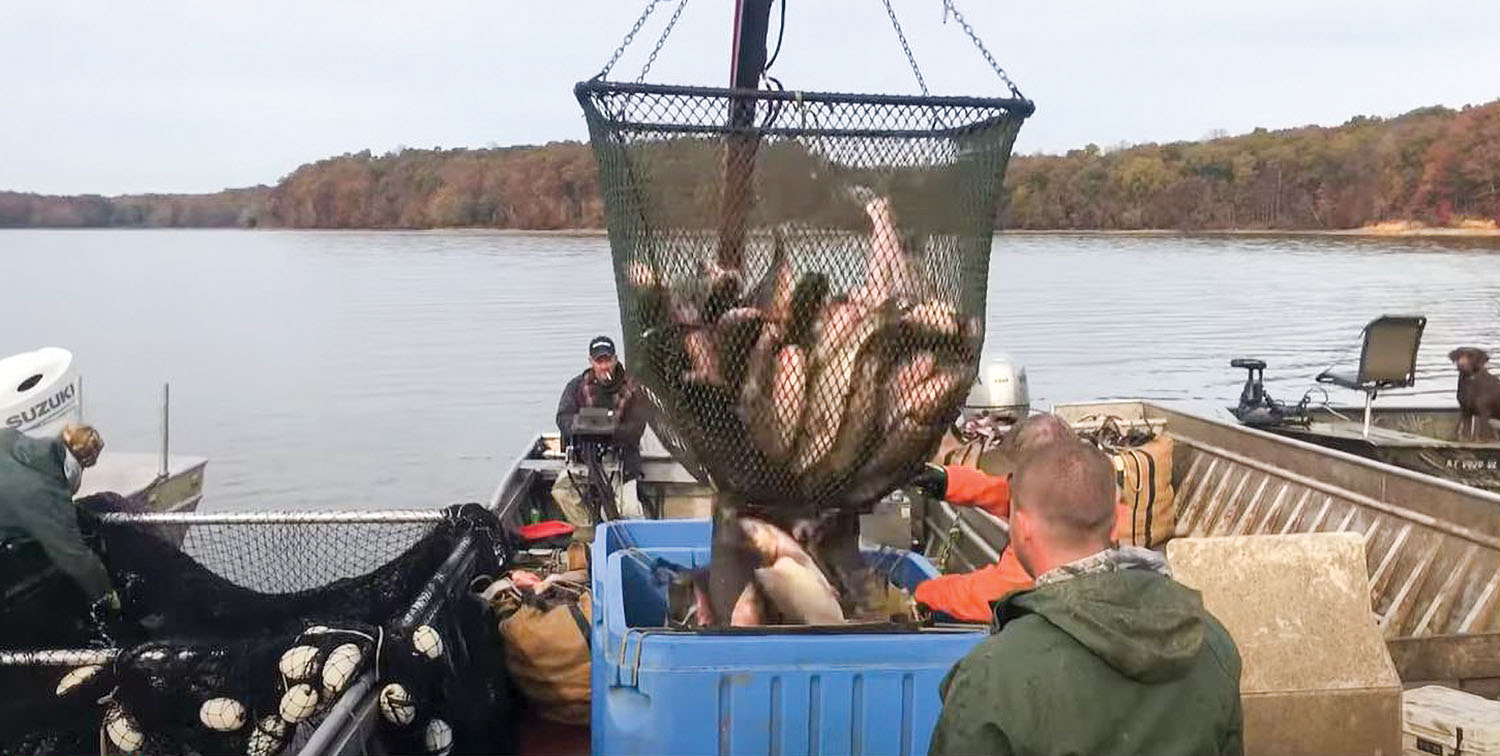 A still shot from a video posted online shows commercial fisherman Wade Robbins using the new “trap netting” method on Lake Barkley, an impoundment of the Cumberland River, in western Kentucky. (Photo courtesy of Lyon County (Ky.) Judge-Executive Wade White)
