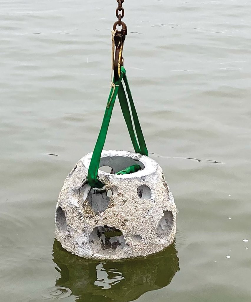 One of 45 concrete reefballs being installed in the Deep Creek estuary, which will be populated by oysters and other local shellfish to create a permanent submerged reef. 