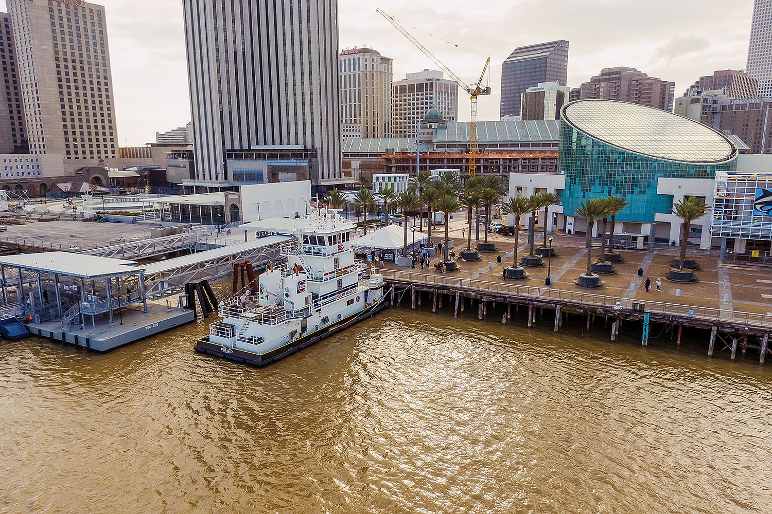 Steve Alley NOLA