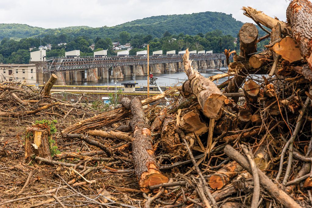 Some of the trees that were repurposed into fish habitats near Montgomery Locks and Dam. (Photo by Michel Sauret/Pittsburgh Engineer District)