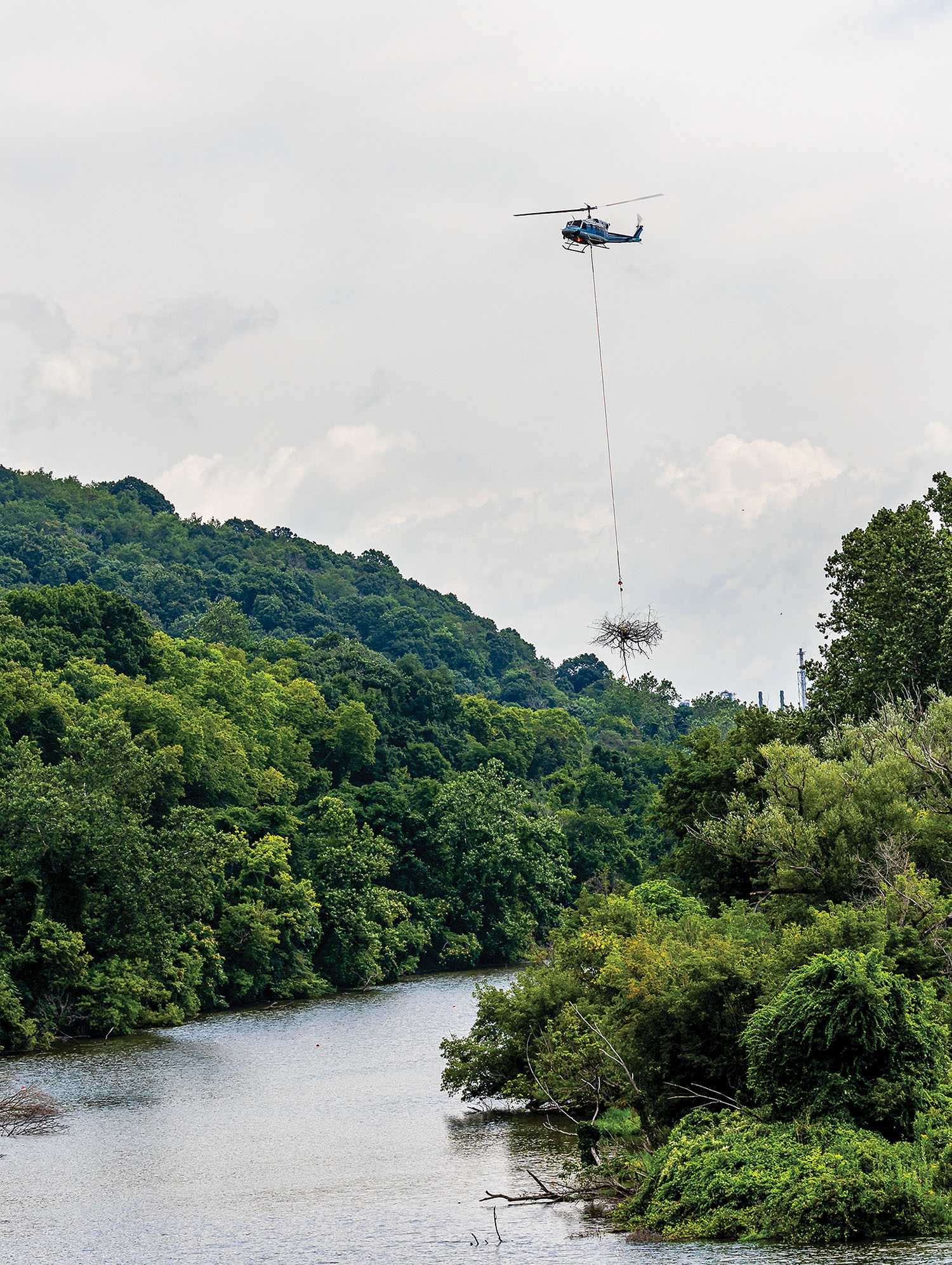 helicopter delivers tree bundles