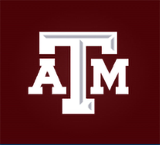 Texas A&M Reduces Tuition For Maritime Students