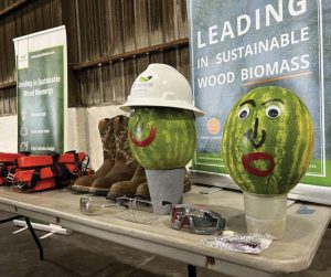 Watermelons outfitted with hardhats and faces demonstrate safety concepts during a We Work The Waterways Maritime Interaction Day. The hands-on demonstration helps students learn about the importance of safety practices in maritime operations.
