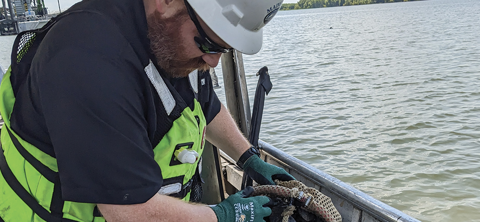 A Mainstream Commercial Diving crew member examines a mesh bag containing freshwater mussels collected during a survey.